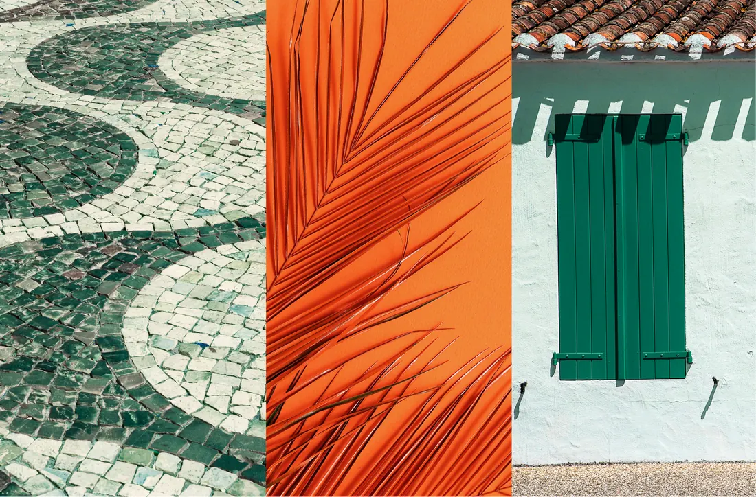 Calçadão de pedras portuguesas, folha de palmeira laranja e janela verde